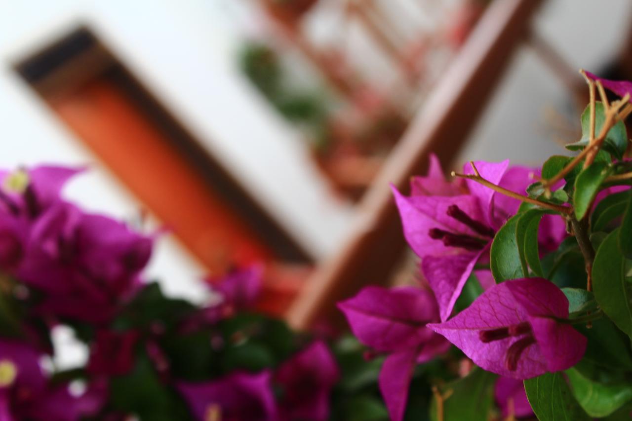Amaru Hotel Huaraz Luaran gambar